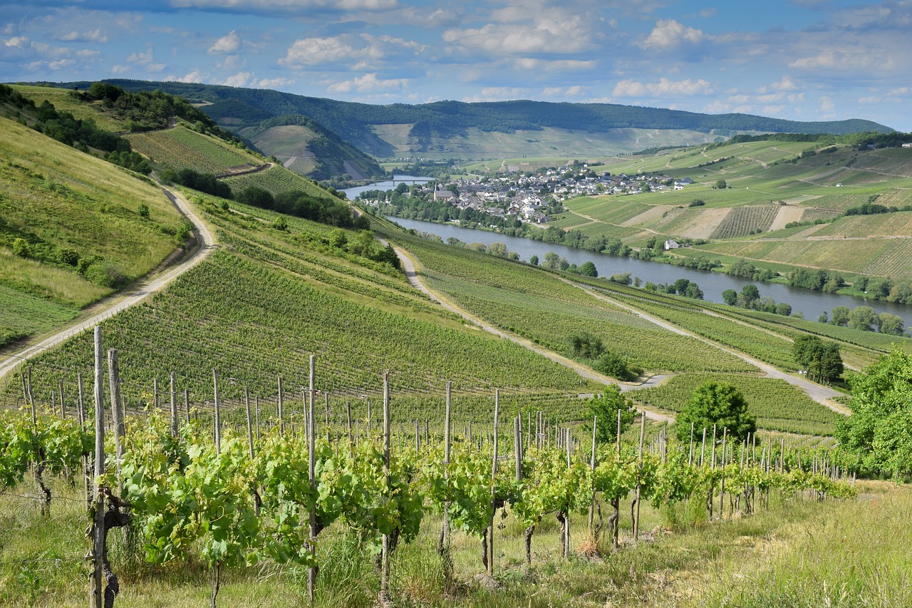 Wanderwege in der Eifel-Mosel-Region