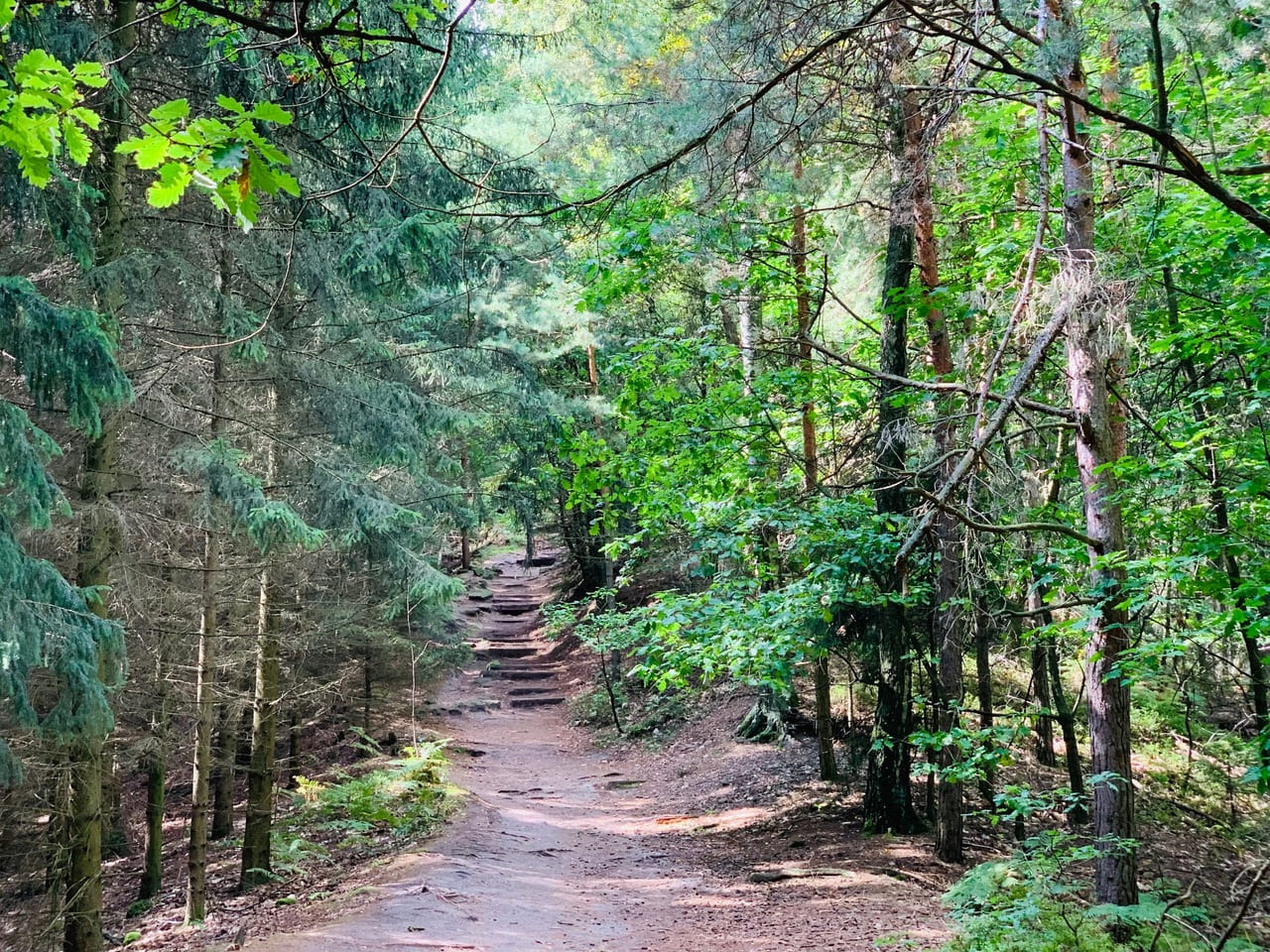 Kleinhennersdorf Papststein Wanderung