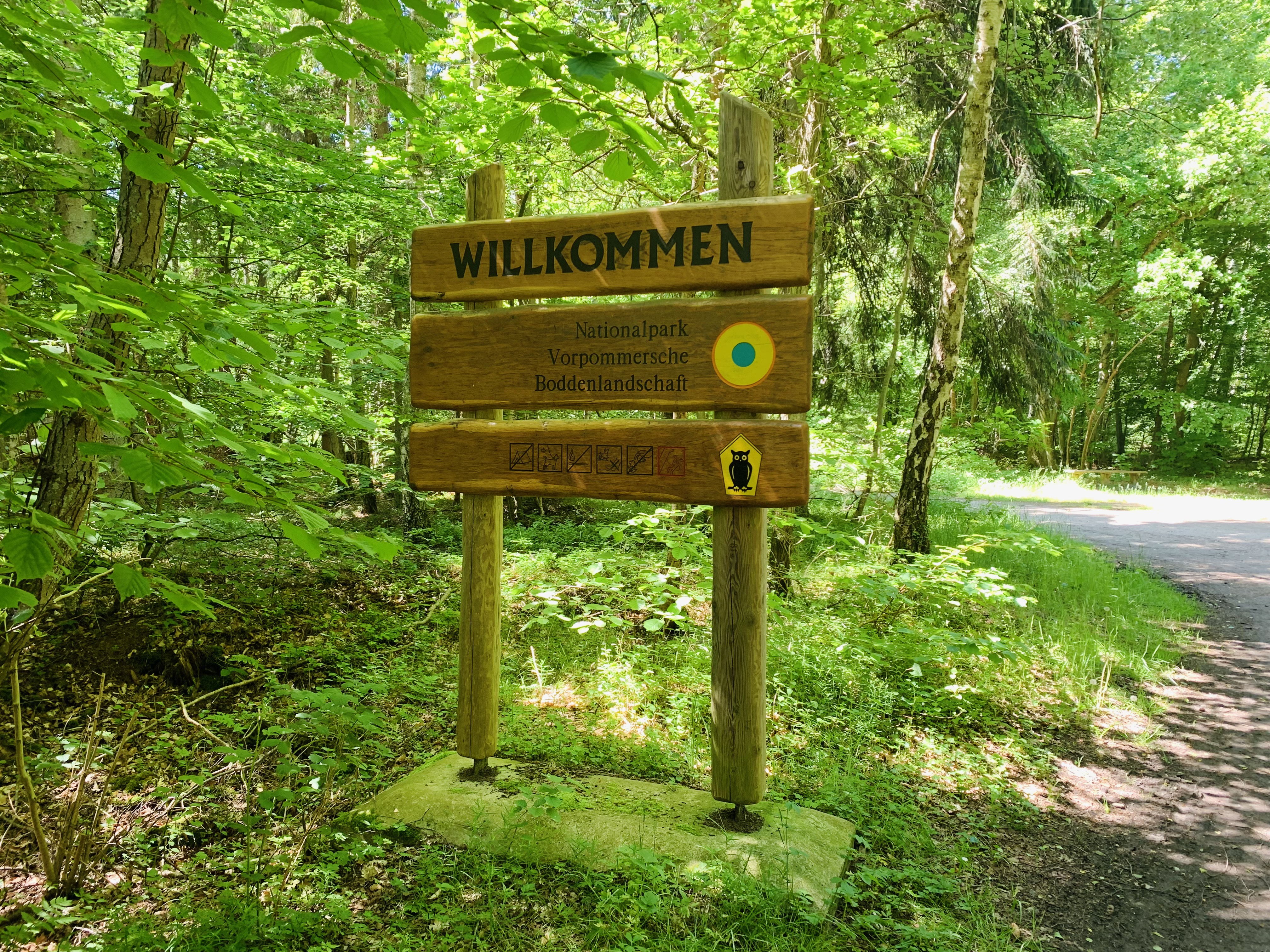 Jogging im Nationalpark Vorpommersche Boddenlandschaft