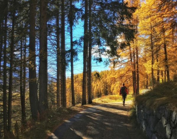 wandern-herbstwetter-tipps