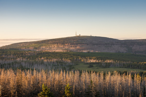 harz-im-herbst