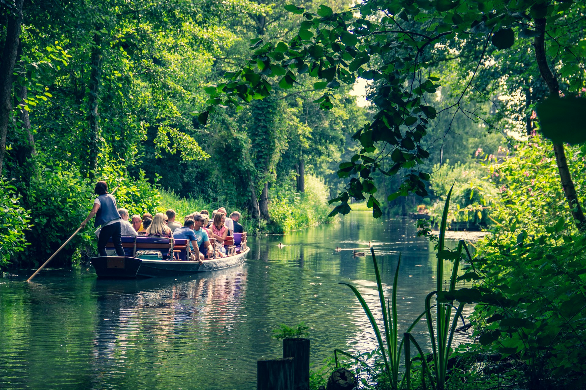 Wandern im brandenburgischen Spreewald