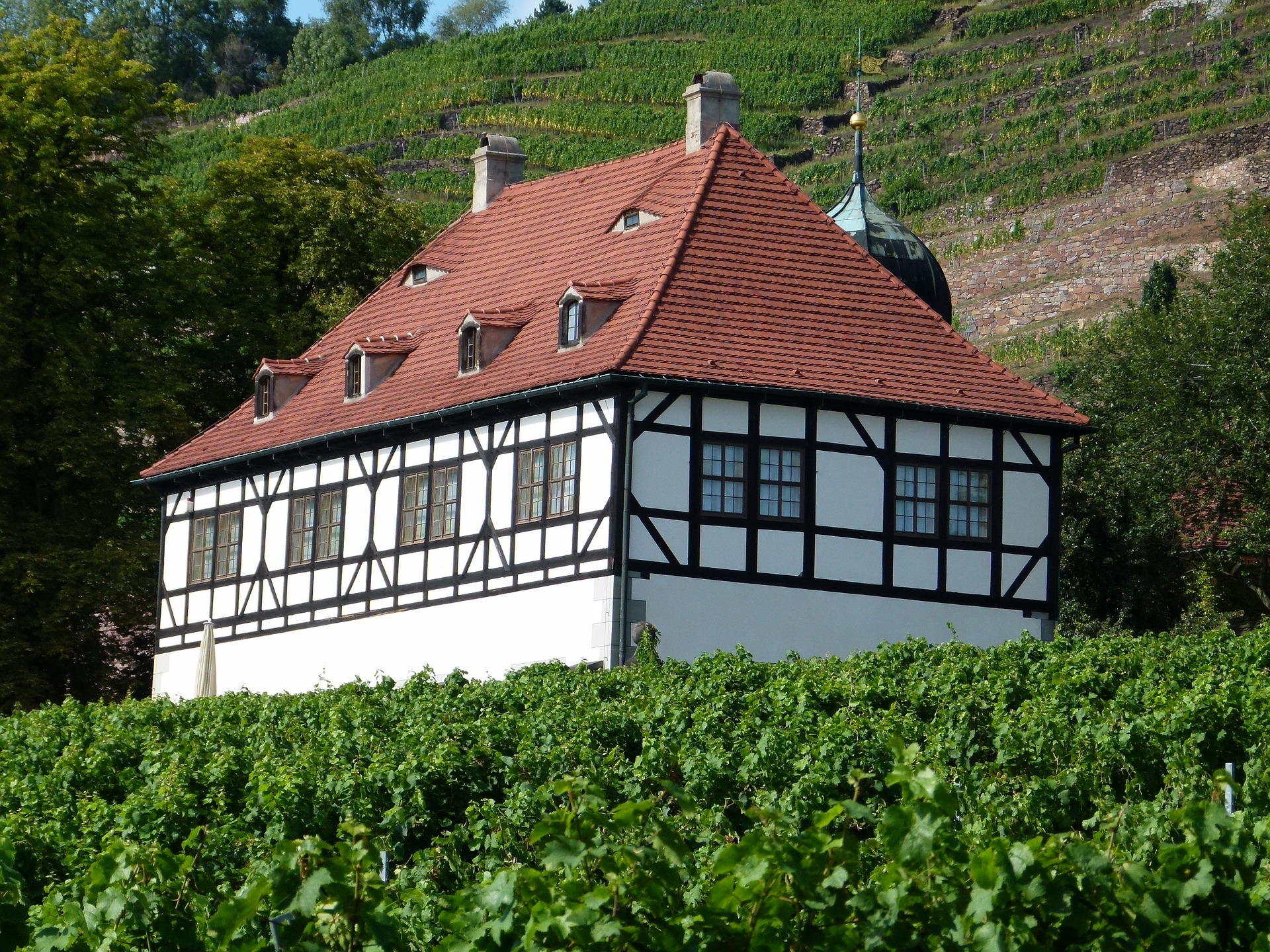 Haus in den Radebeuler Weinhängen