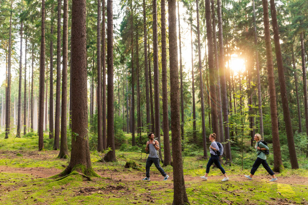 dresdner-heide-wandern