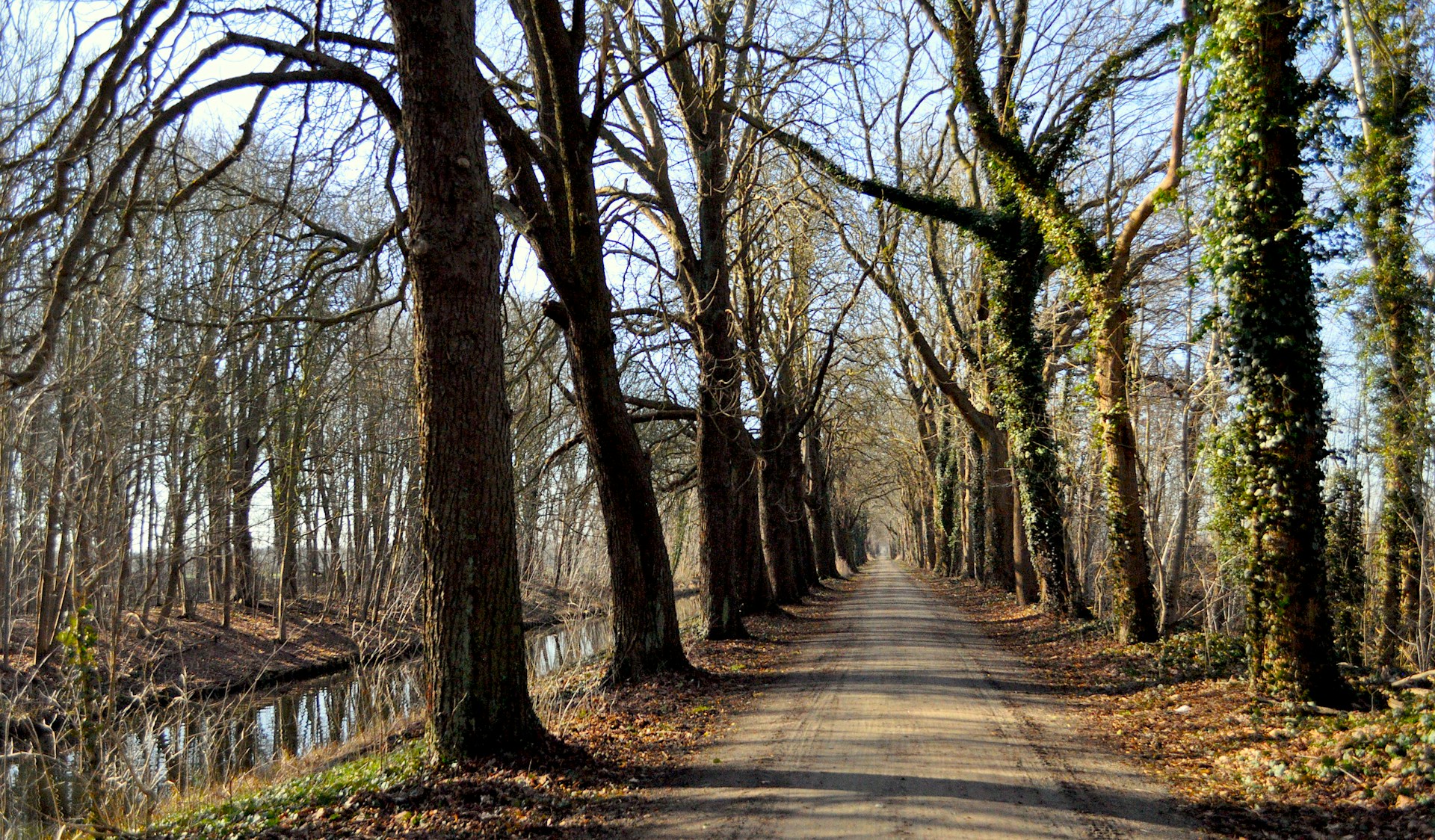 Wandern im Fläming