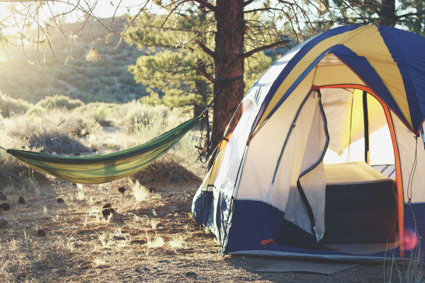 wildcampen-deutschland