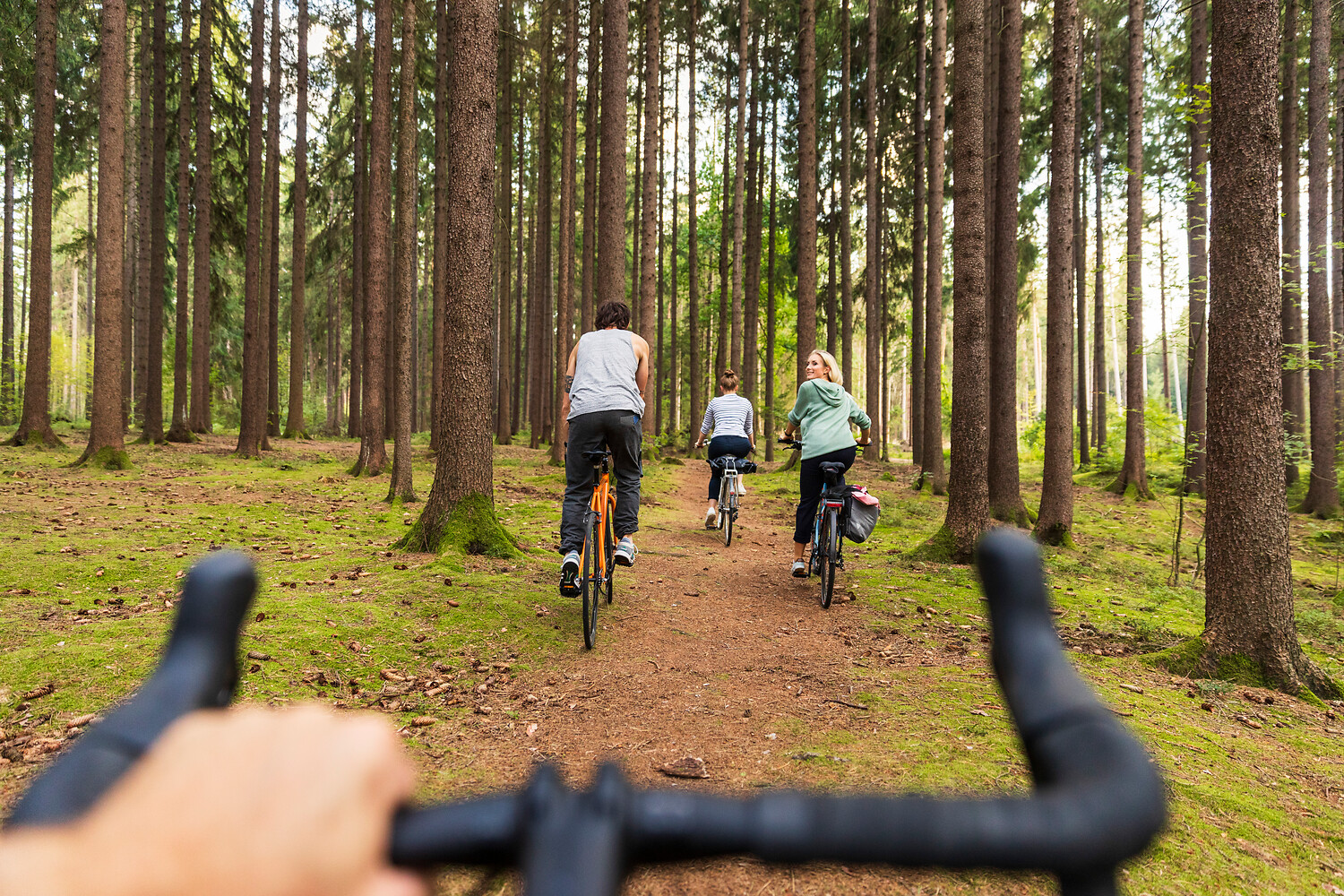 Radfahren in der Dresdner Heide