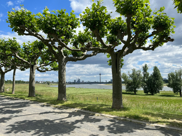 duesseldorf-ausflug
