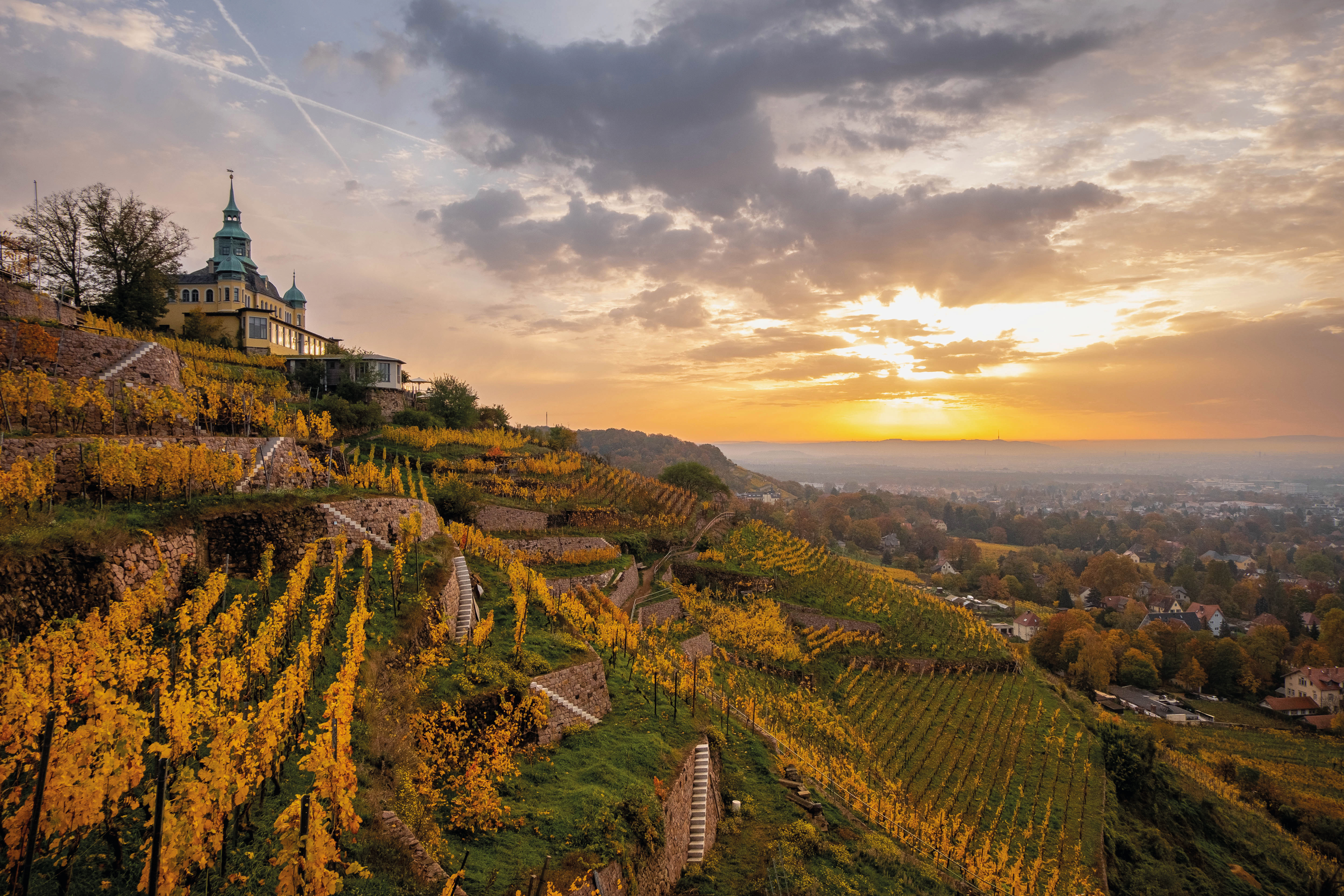 Wandern zum Spitzhaus auf den Radebeuler Weinhängen