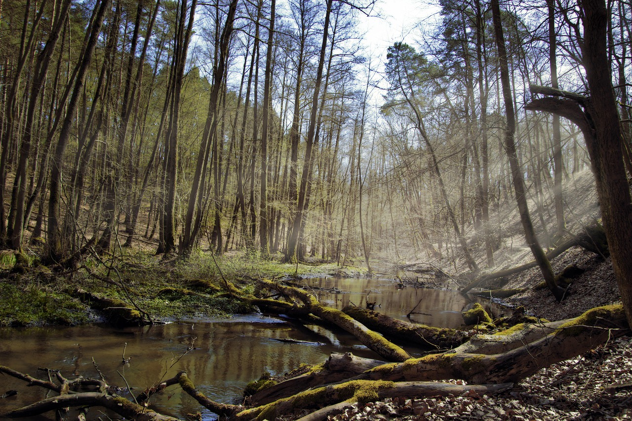 Wanderwege und Pfade im Naturpark Schlaubetal