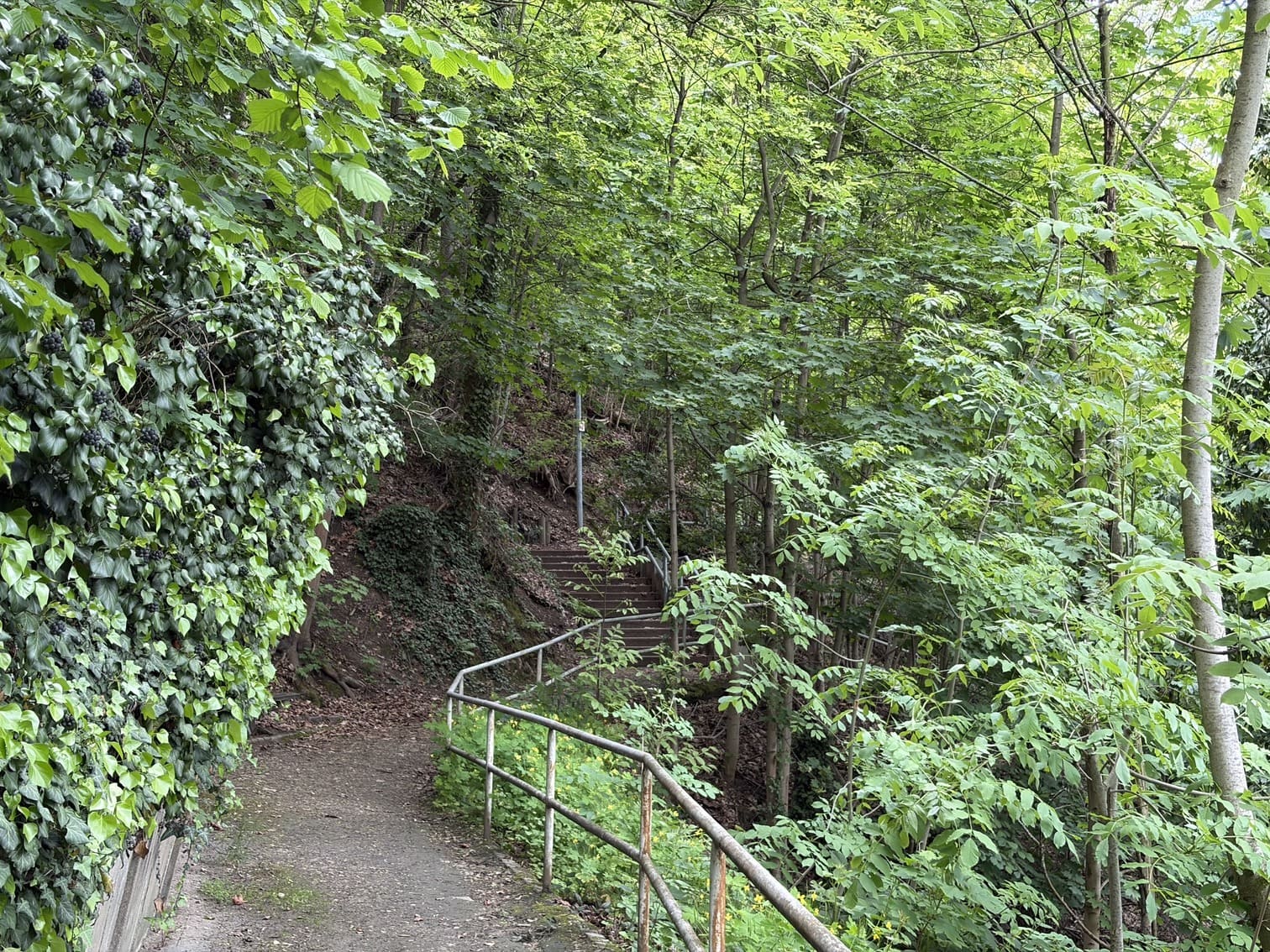 Aufstieg und Wandern auf dem Poetenweg