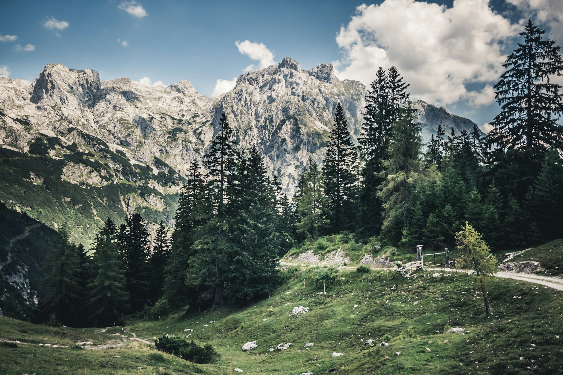 Elmaualm in Werfenweng im Salzburger Land