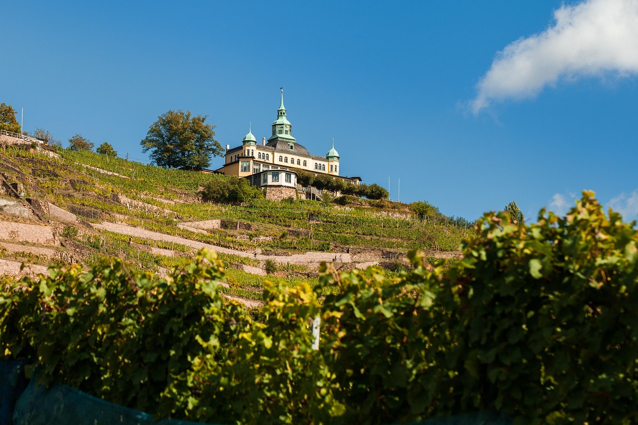 Wandern durch Radebeul auf dem Sächsischen Weinwanderweg