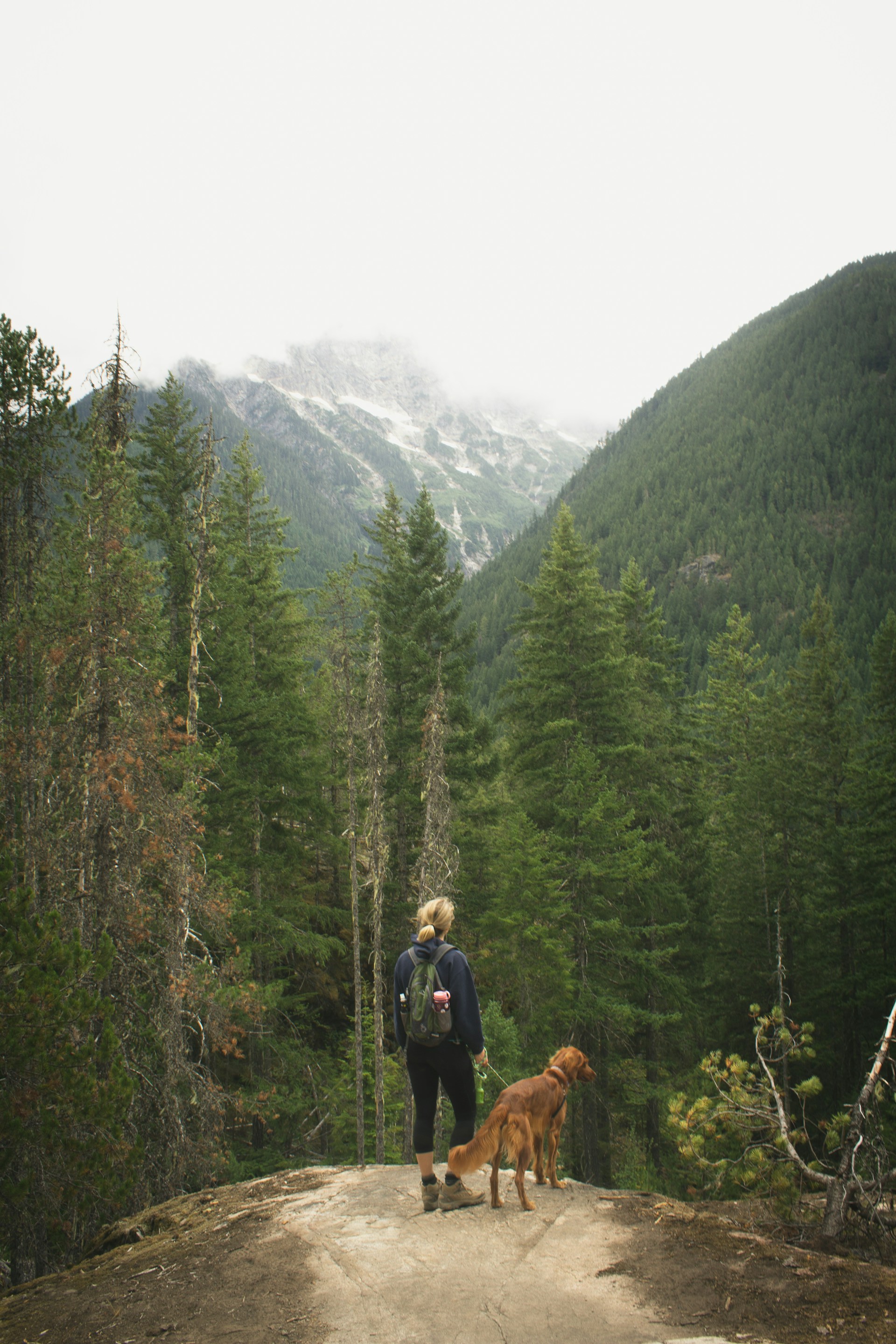 Praktische Tipps zum Wandern mit Hunden