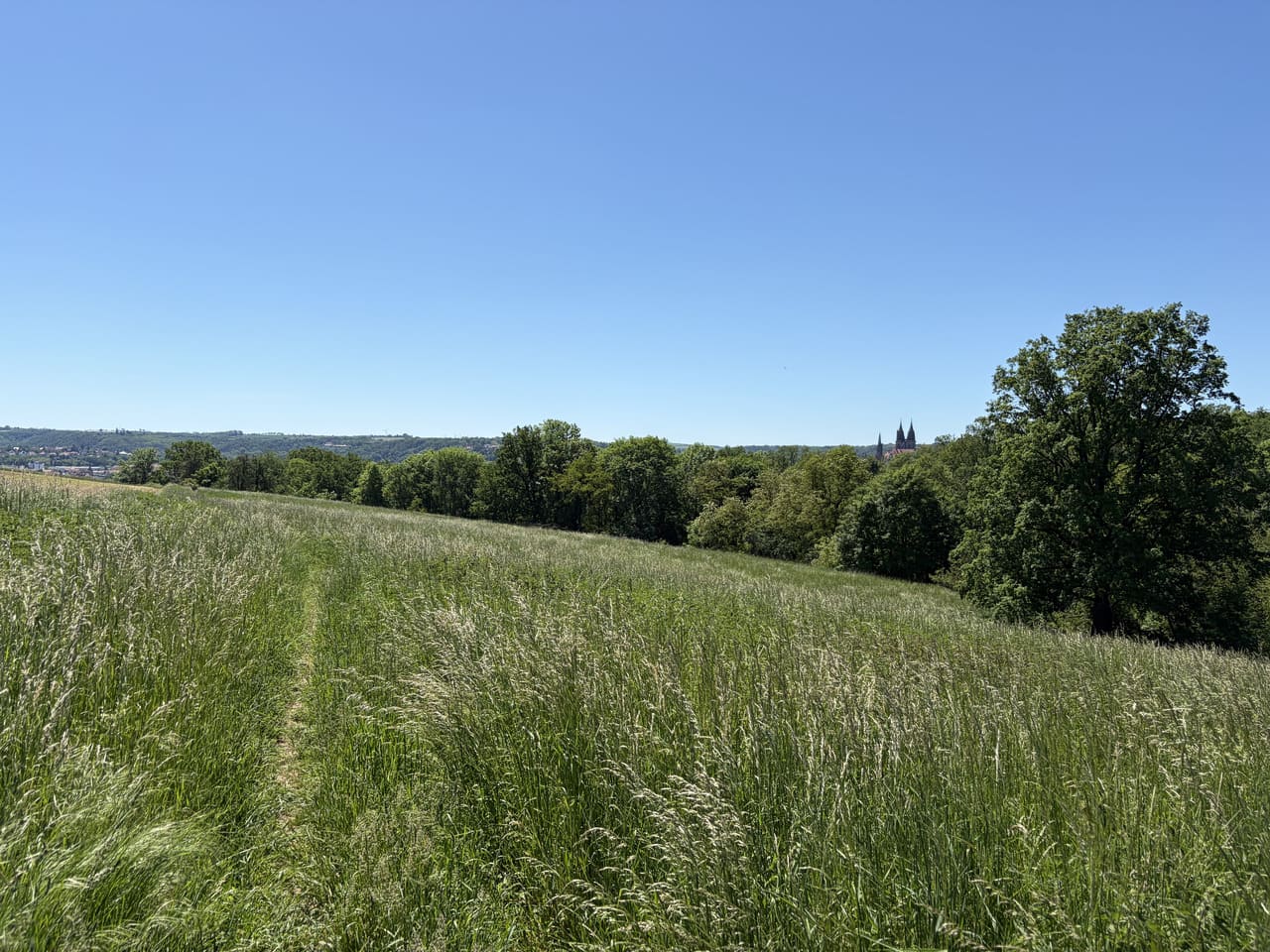 Weinstrecke Meißen Walking