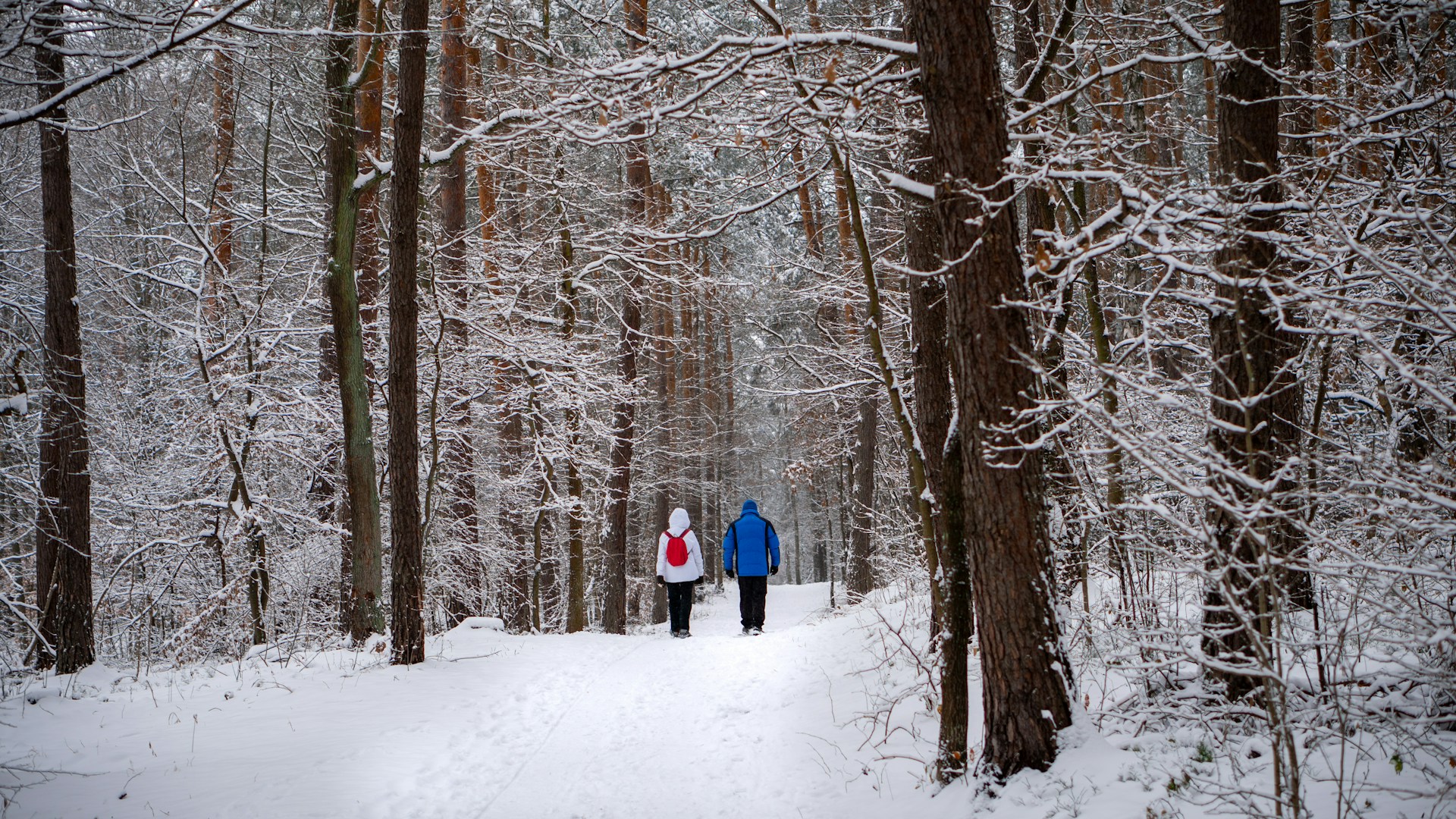 Wanderungen im Winter