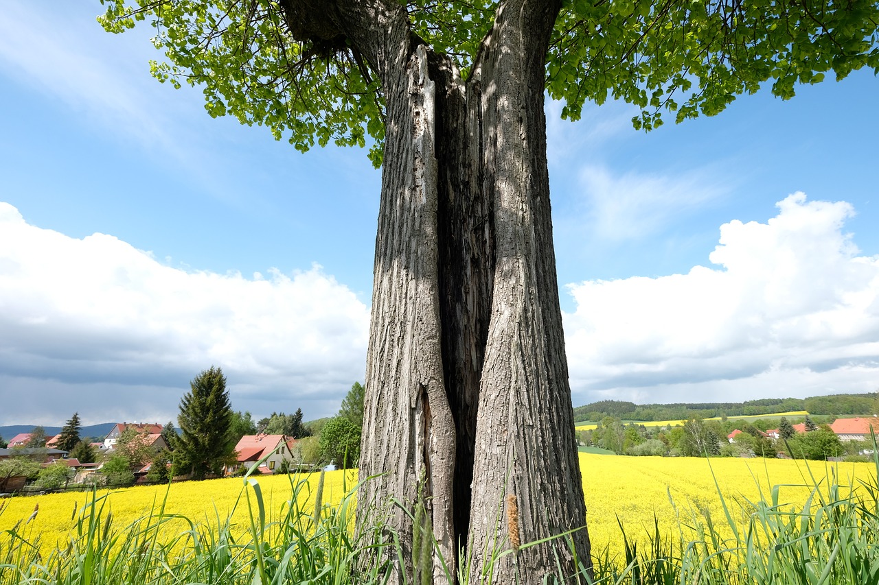 Wandern in der Oberlausitz