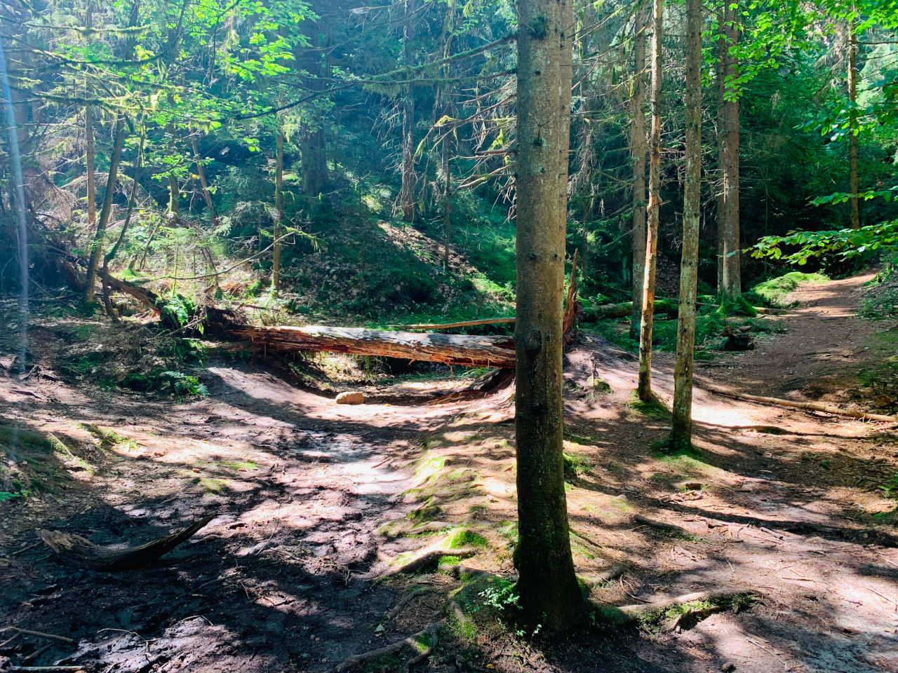 Wanderung zu den Schwedenlöchern