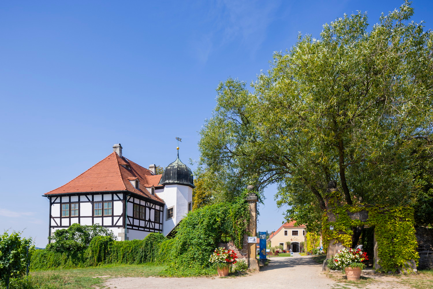 Weingut Hoflößnitz in Radebeul