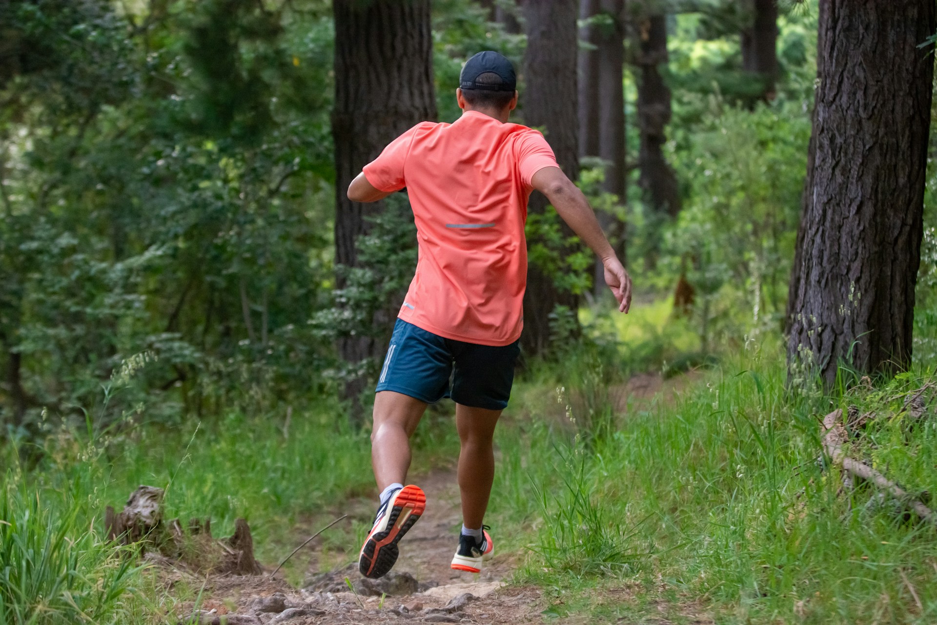 Trailrunning in der Sächsischen Schweiz