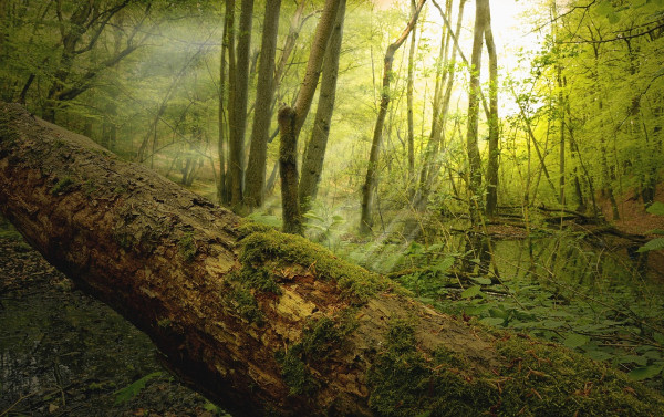naturpark-schlaubetal
