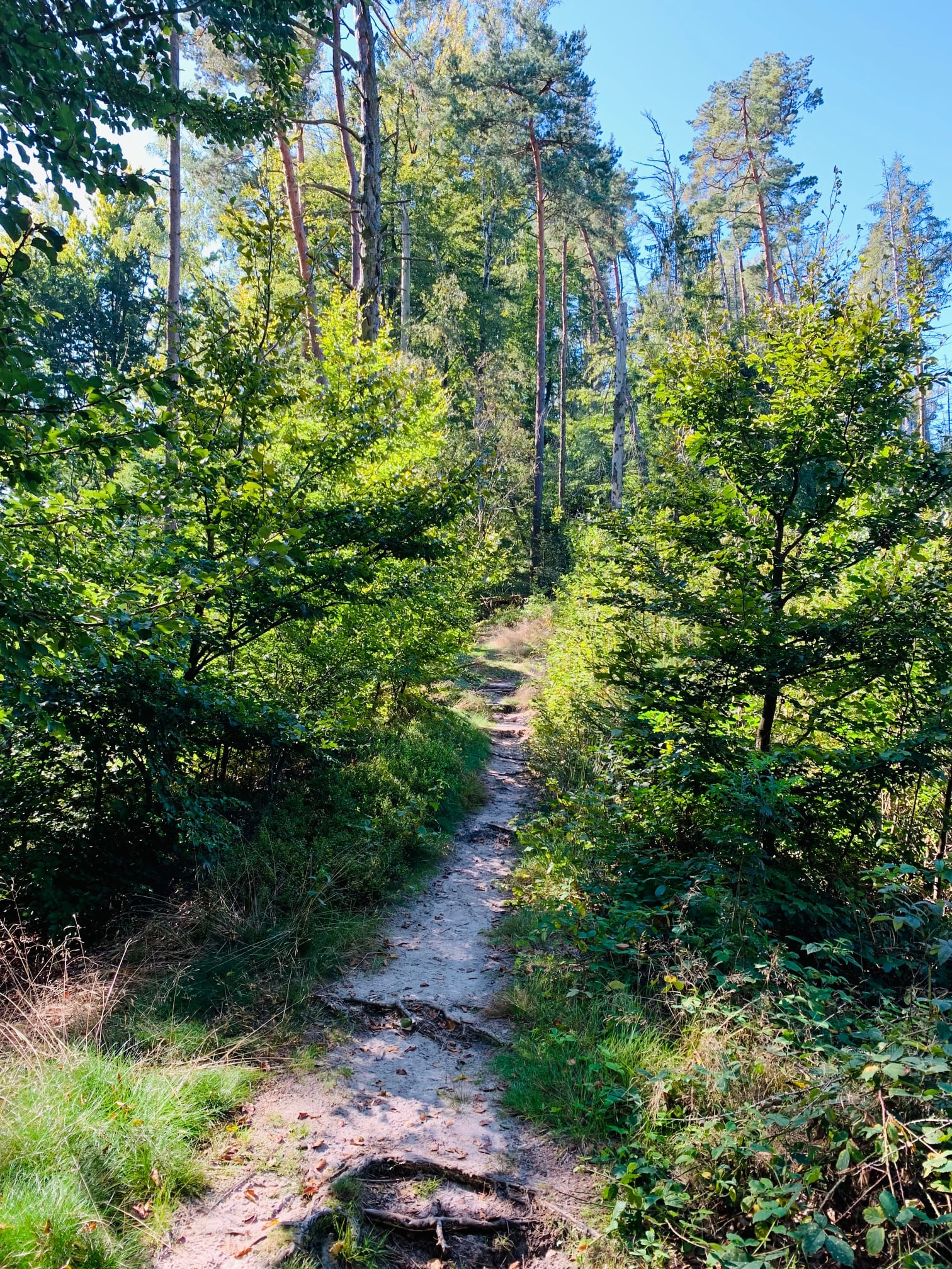 Aufstieg Großstein