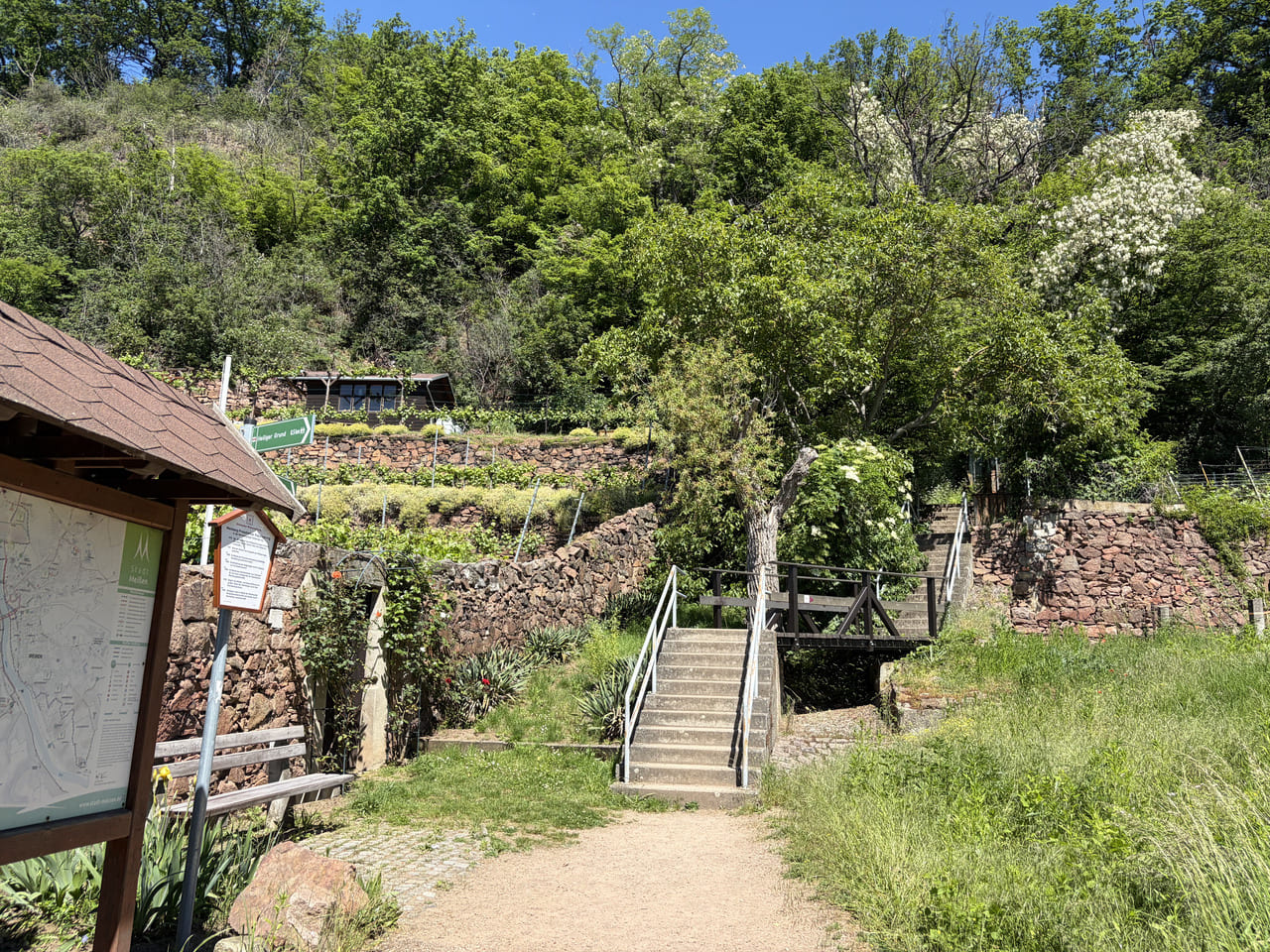 Katzenstufen Meißen