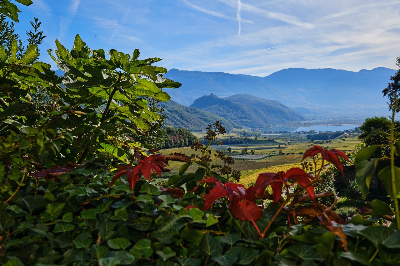 Wandertouren am Kalterer See in Südtirol