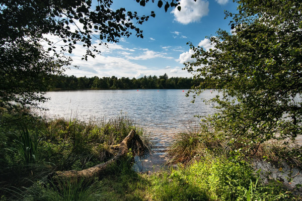 bullensee-rotenburg