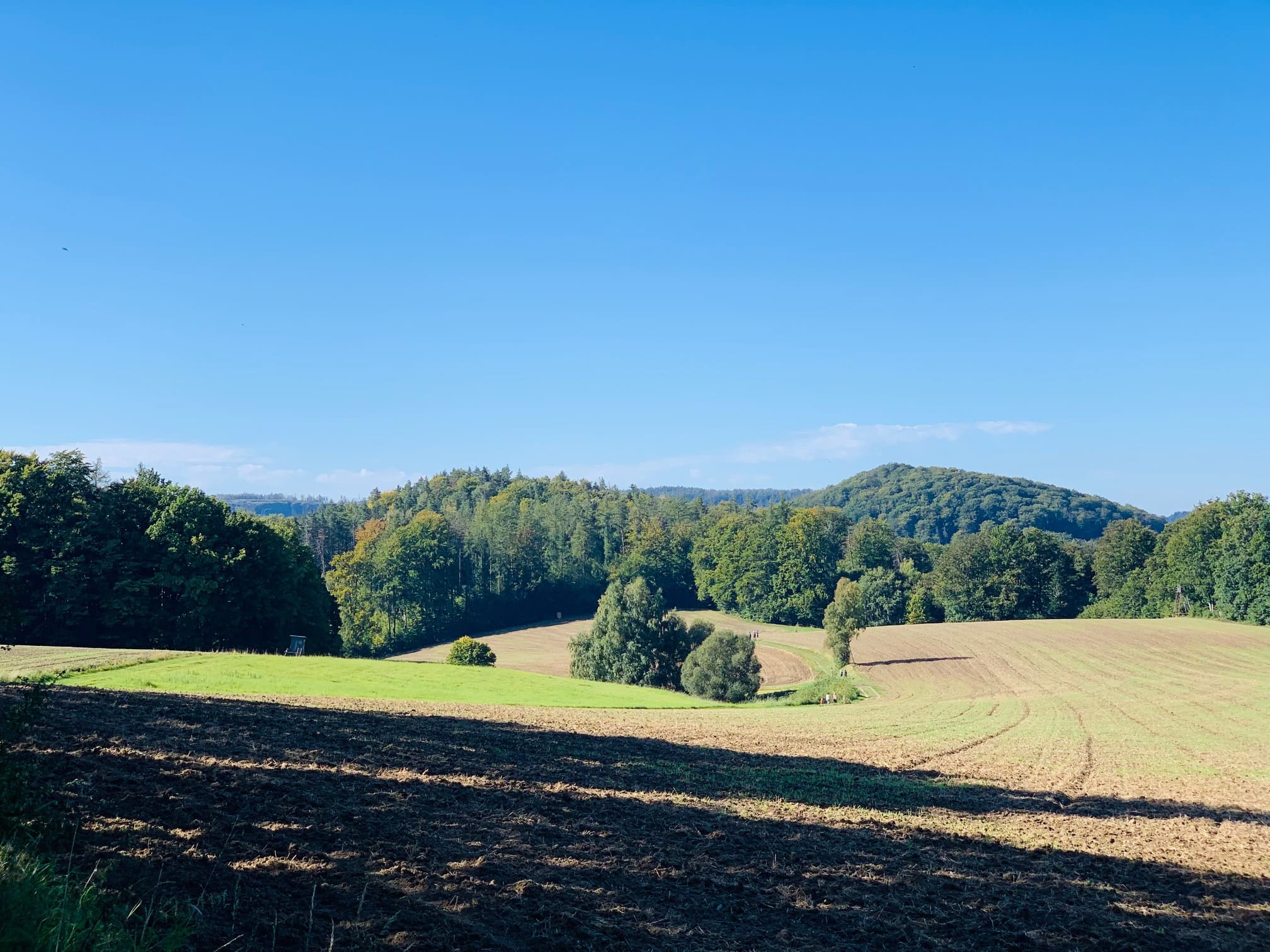 Feldweg Richtung Großstein