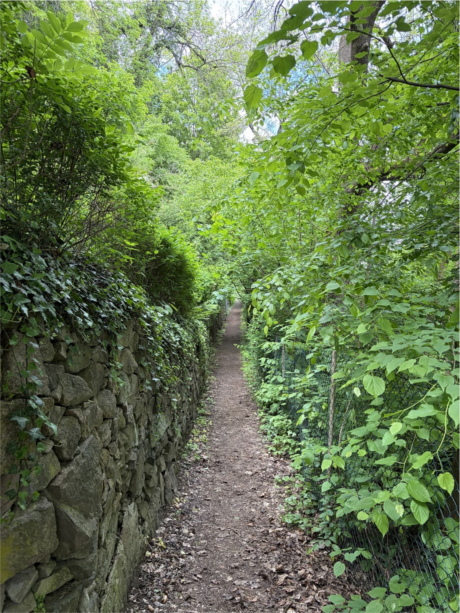 Poetenweg in Meißen