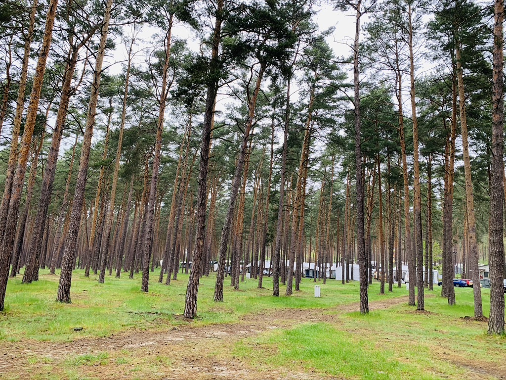Campingplatz direkt am Schwielochsee