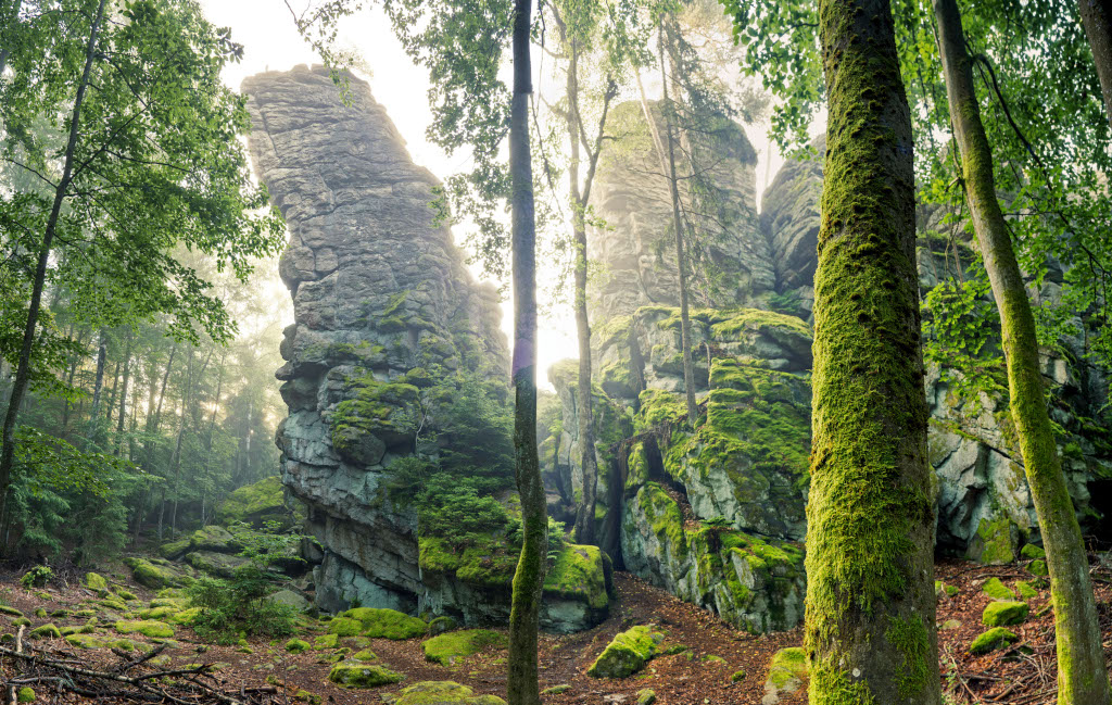 Naturpark Steinwald in Bayern