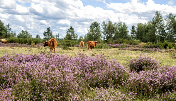 wandern-in-brandenburg