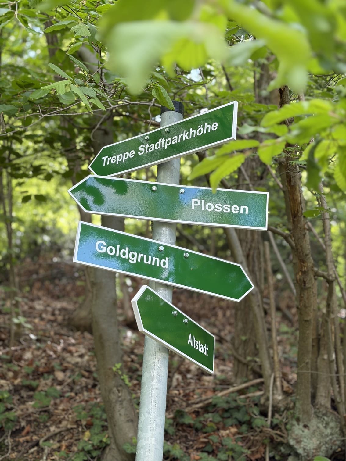 Stadtpark Meißen