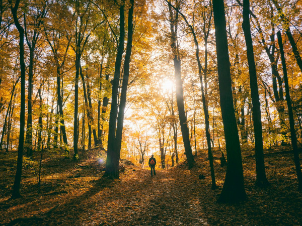 wandern-herbst-kleidung