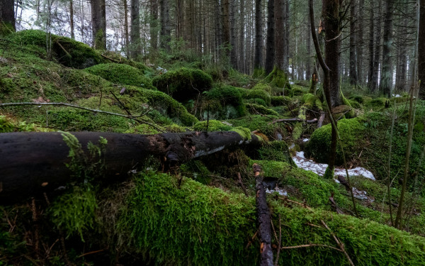 nationalparks-in-deutschland