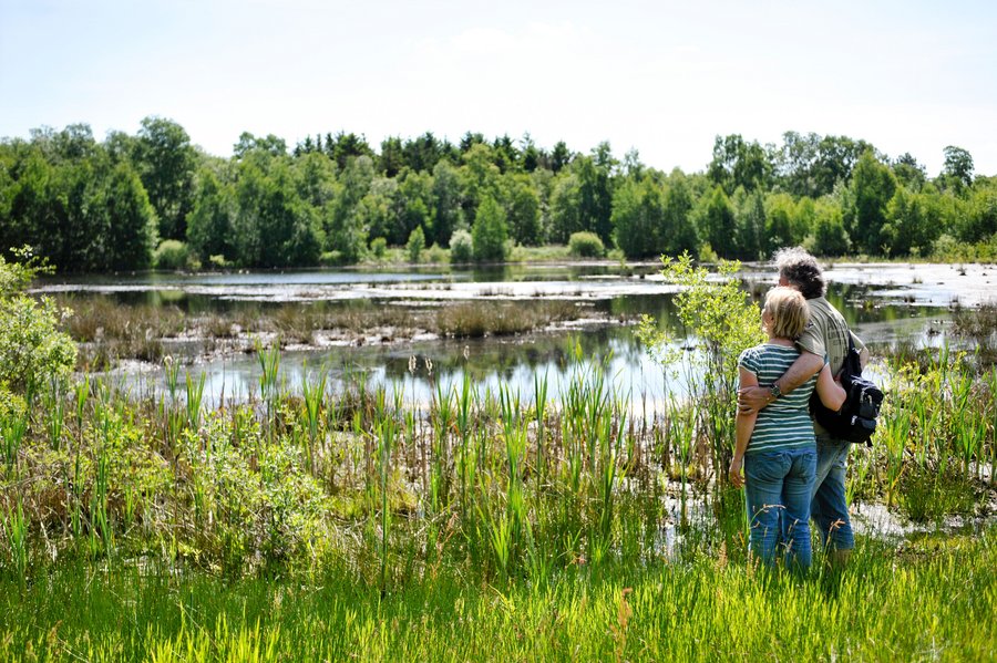 Moorlandschaften im Ammerland