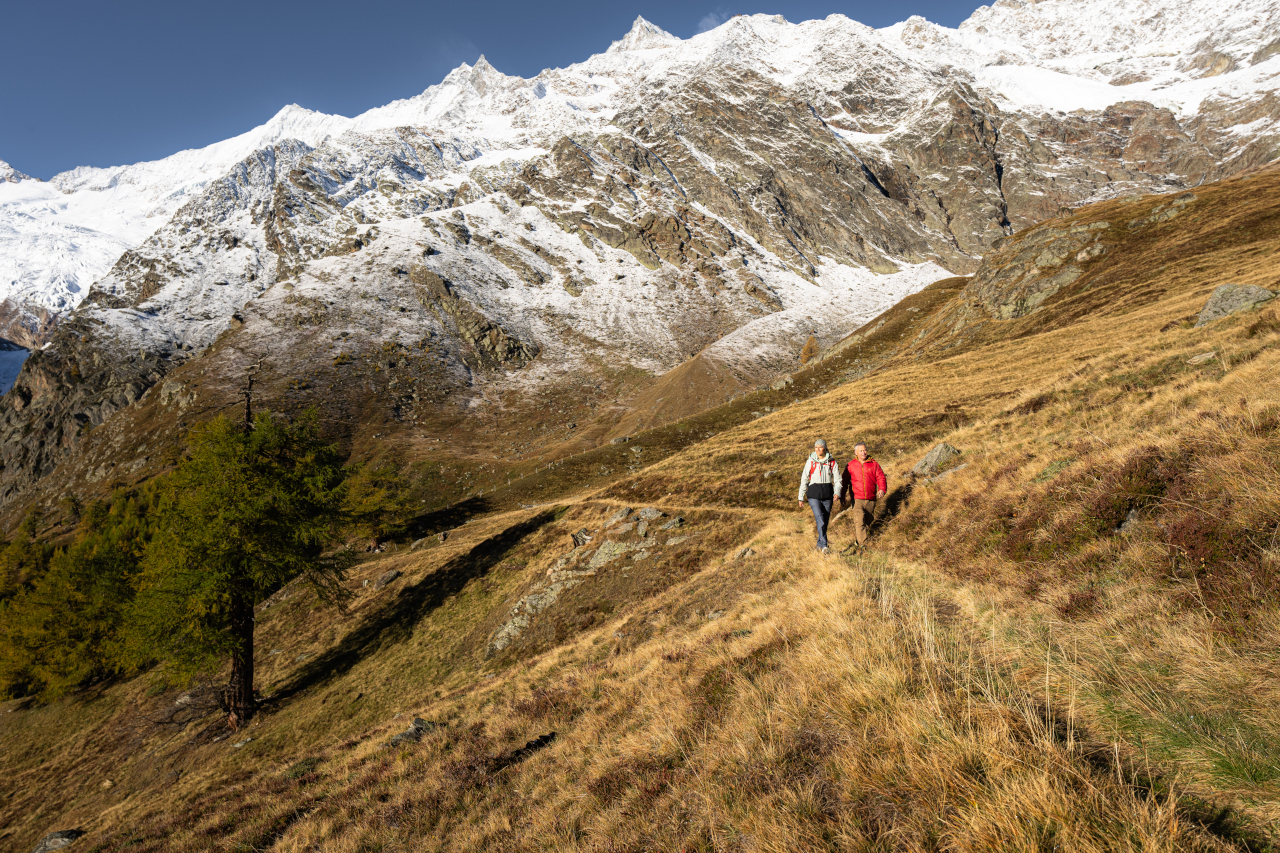 Wanderungen in der Region Saastal/Saas-Fee